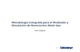 Metodología Para La Simulación de Reservorios Shale Gas