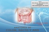 anatomia de colon recto y ano.pptx