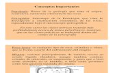Introducción y Origen de los magmas.pdf