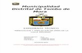 Expediente Tecnico Del Municipio Tambo de Mora