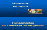 Gerencia de Proyectos - PMI
