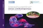 Virus Chikungunya - Preparación y Respuesta