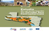Estudio de caracterización del Corredor Seco Centroamericano (CA-4)