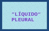 Liquido Pleural