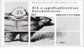 Immanuel Wallerstein - El Capitalismo Historico.pdf