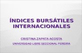 Índices Bursátiles Internacionales