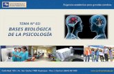 03 - Bases Biologicas Psicologia