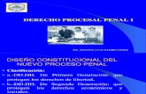 Derecho Procesal Penal -Principios