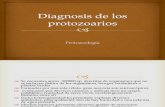 Diagnosis de Los Protozoarios Laboratorio