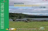 Milodón Patagonía a los pies del Macizo de Paine - Ruta 29