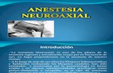 020 Anestesia Epidural Espinal