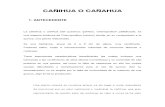 Cañihua o Cañahua
