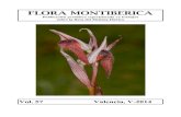 Flora Montiberica57