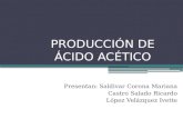 44923821 Produccion de Acido Acetico