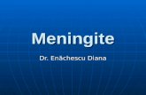 Curs 8 Meningite