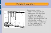 Sistemas de Distribucion - Basico