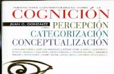 Perspectivas Contemporaneas Sobre La Cognicion Percepcion Categorizacion Conceptualizacion
