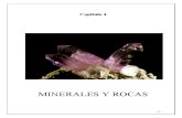 Microsoft Word - 4-5 Minerales -Rocas BOSQUE 2007-2