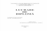 LUCRARE DIPLOMA Radioscopia Duodenala