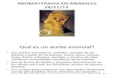 Aromaterapia en Animales Jacky Mankos