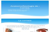 Anatomofisiologia de.pptx