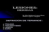 2014-HERIDAS . LESIONES