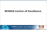 Wi Max Coe Presentation 1