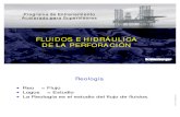 20 Mecánica de Fluidos e Hidráulica de Perforación.pdf