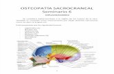 OSTEOPATÍA SACROCRANEAL -SEMINARIO-6