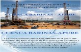 Cuenca Barinas-Apure Modificar