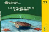 Las Tortugas Marinas y sus hábitats.