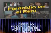 Parricidio en El Peru