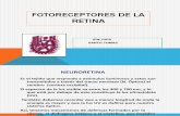 FOTORECEPTORES DE LA RETINA.pptx