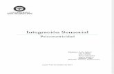 Informe psicomotricidad- integración sensorial