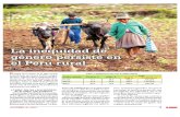 La Inequidad de Genero Persiste en El Peru Rural