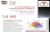 Presentacion Licenciatura Naturopatia 5 Noviembre 2013