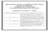 Resumen Codificaciones  Rorschach (Exner).doc