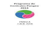 Programa Centrales - Pangea 2014..docx
