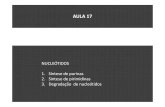 AULA17NUCLEOTIDOS [Modo de Compatibilidade].pdf