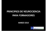 Principios de Neurociencia Para Formadores