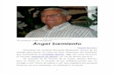 Ángel Sarmiento