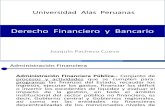 Derecho Financiero y Bancario - Presupuesto p.