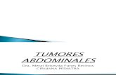 Tumores abdominales Externos