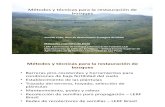 restauracion de bosques.pdf
