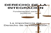 Unidad Xx Derecho Integracion