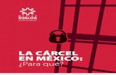 La cárcel en México ¿Para qué?
