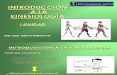 Clase De Kinesiologia-110419173251-phpapp02