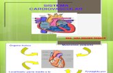 Valoraciòn de la Funciòn Cardiovascular