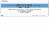 Modulo III.- Proceso de Gas Natural y Plantas