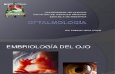 0. Embriología ocular (1)